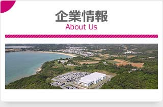 企業情報