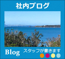 ＮＸ沖縄イーテクノロジー社内ブログ